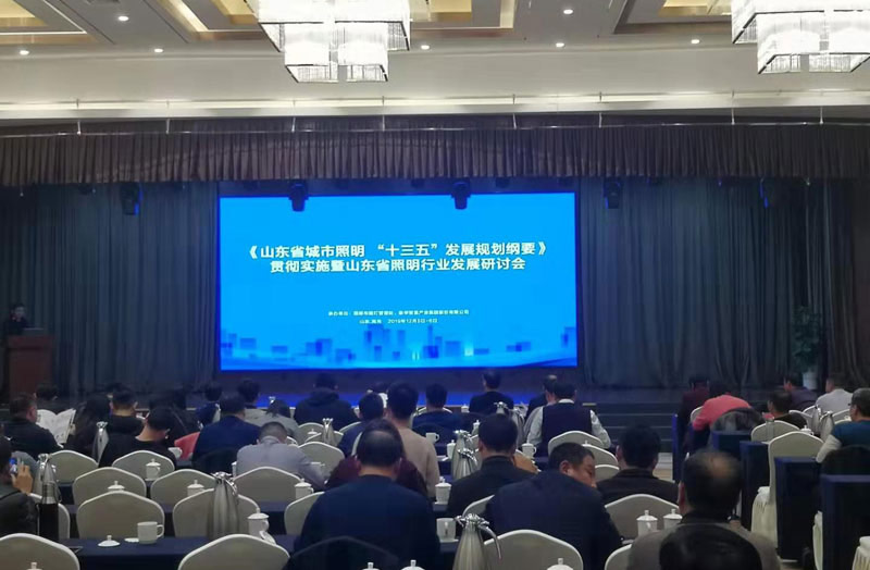 Shandong Lighting Industry Development Seminar was successfully held, Zhiao soft film lead
