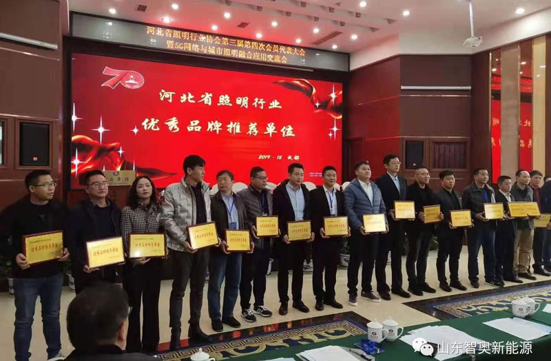 The Third and Fourth Member Representative Conference of Hebei Lighting Industry Associati